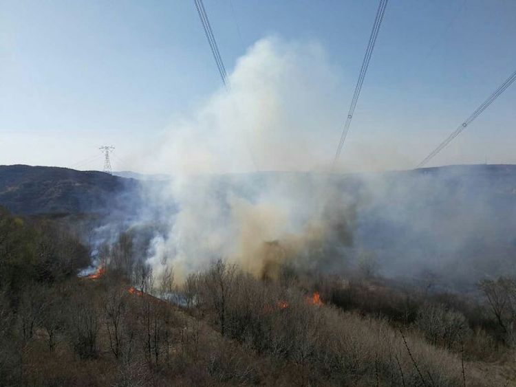 防山火在線監(jiān)測(cè)裝置 輸電線路防山火的“秘密武器”